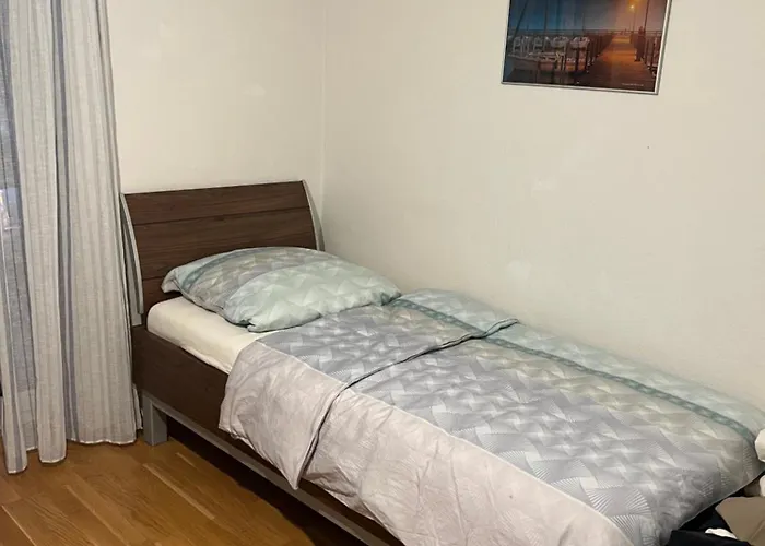 Beautiful Apartment For You